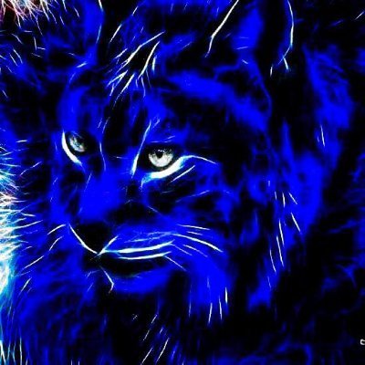 Blue Cat
